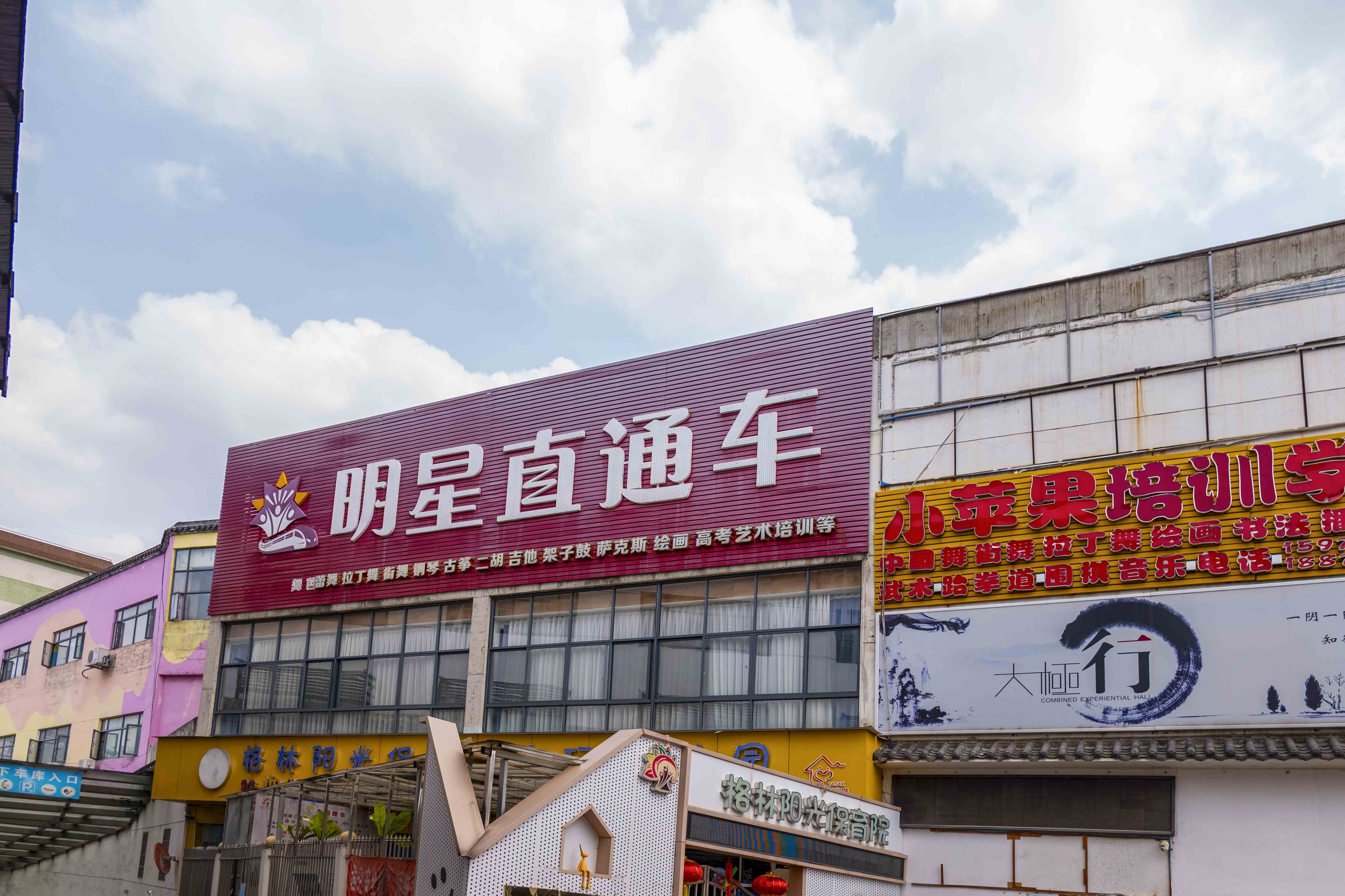 香樟楼 明星直通车