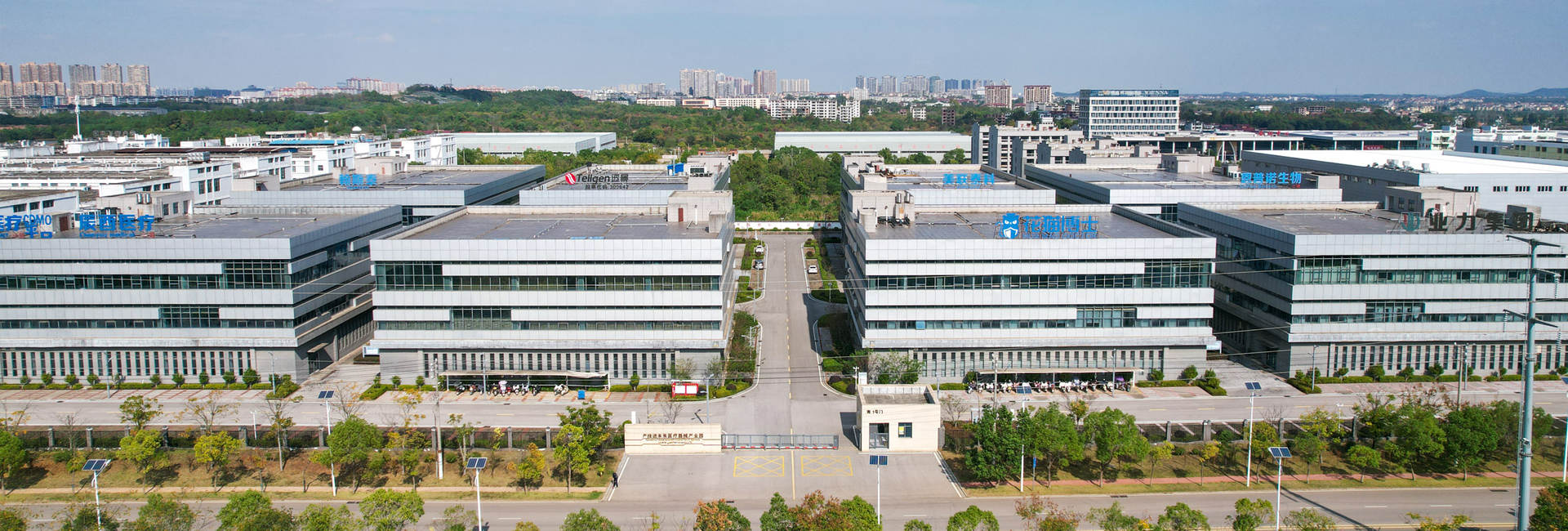 园区全景