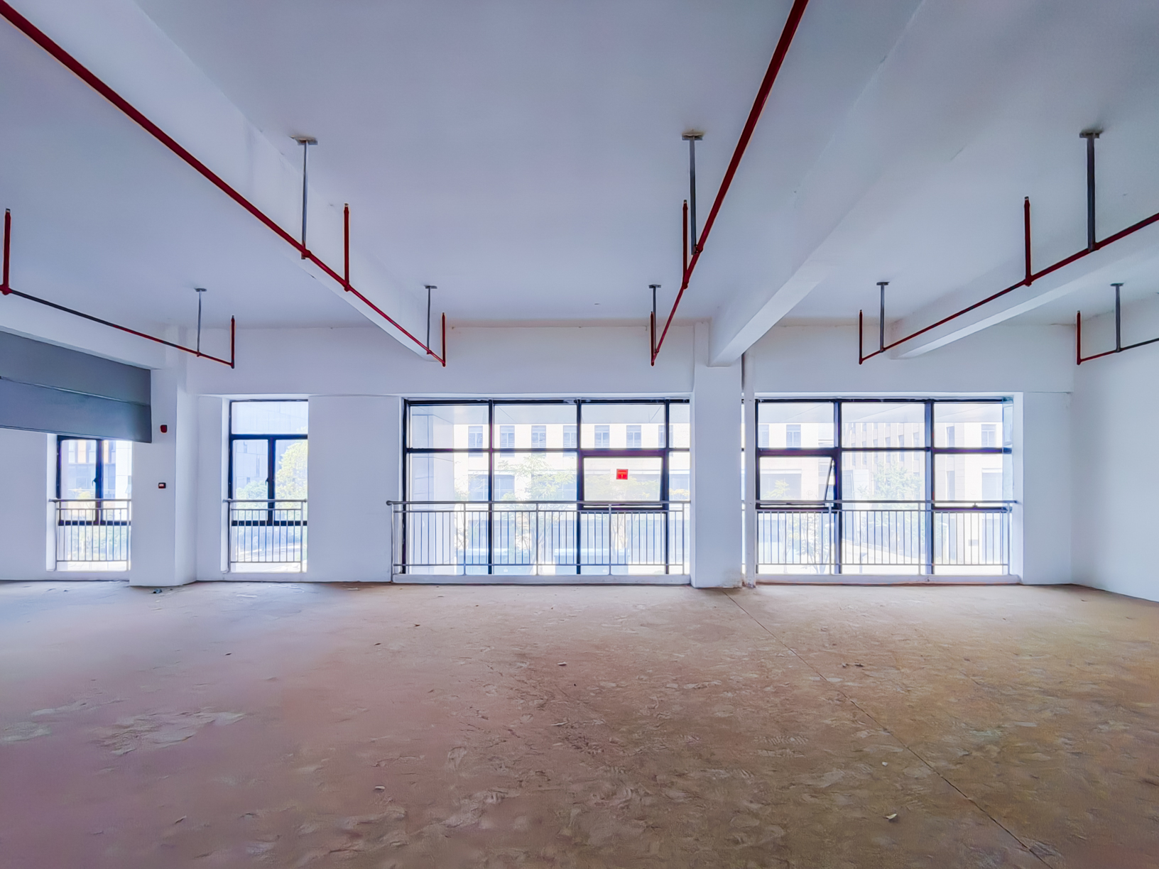 IMG_20251011_123141_1