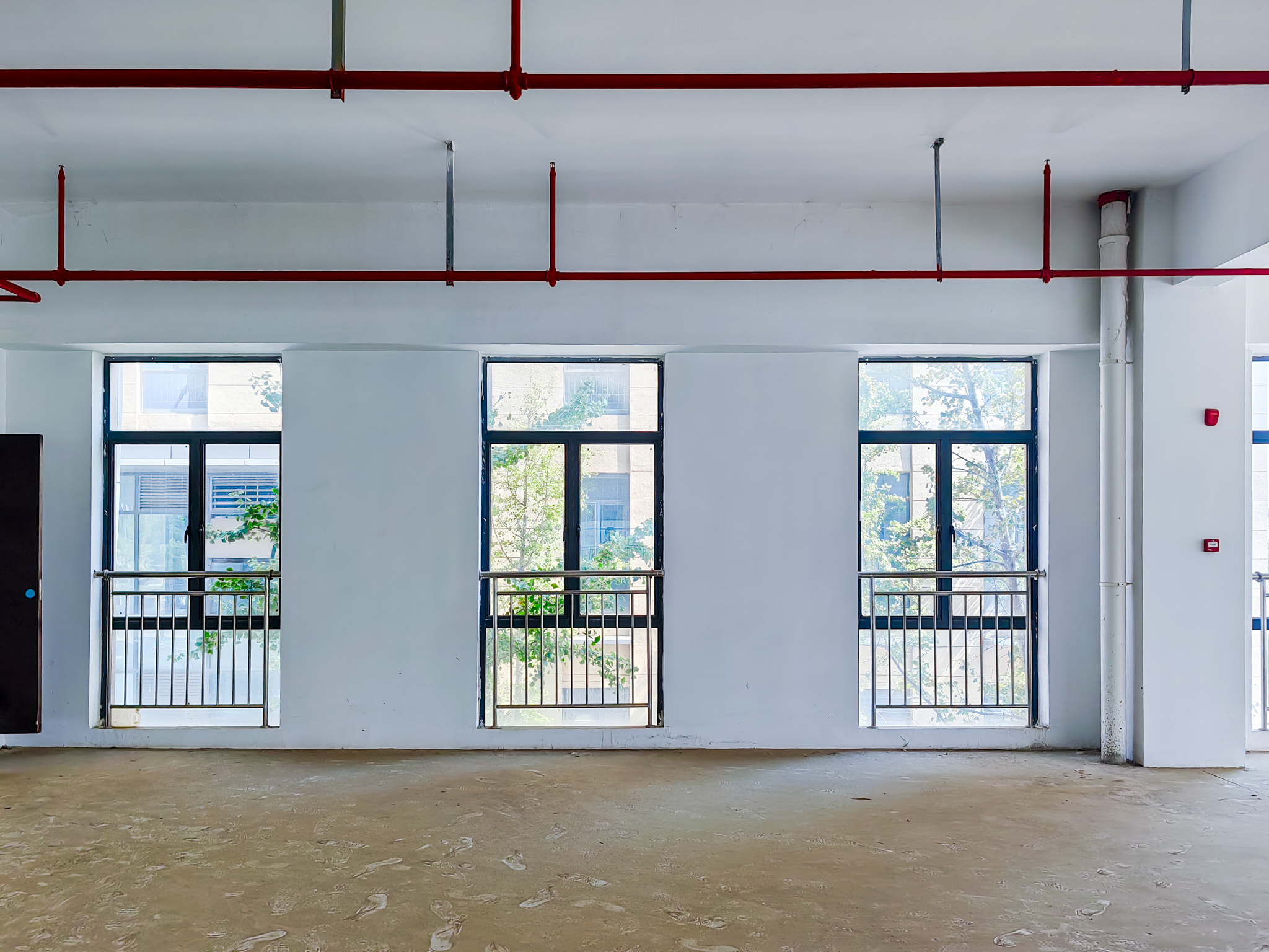 IMG_20251011_123221_1