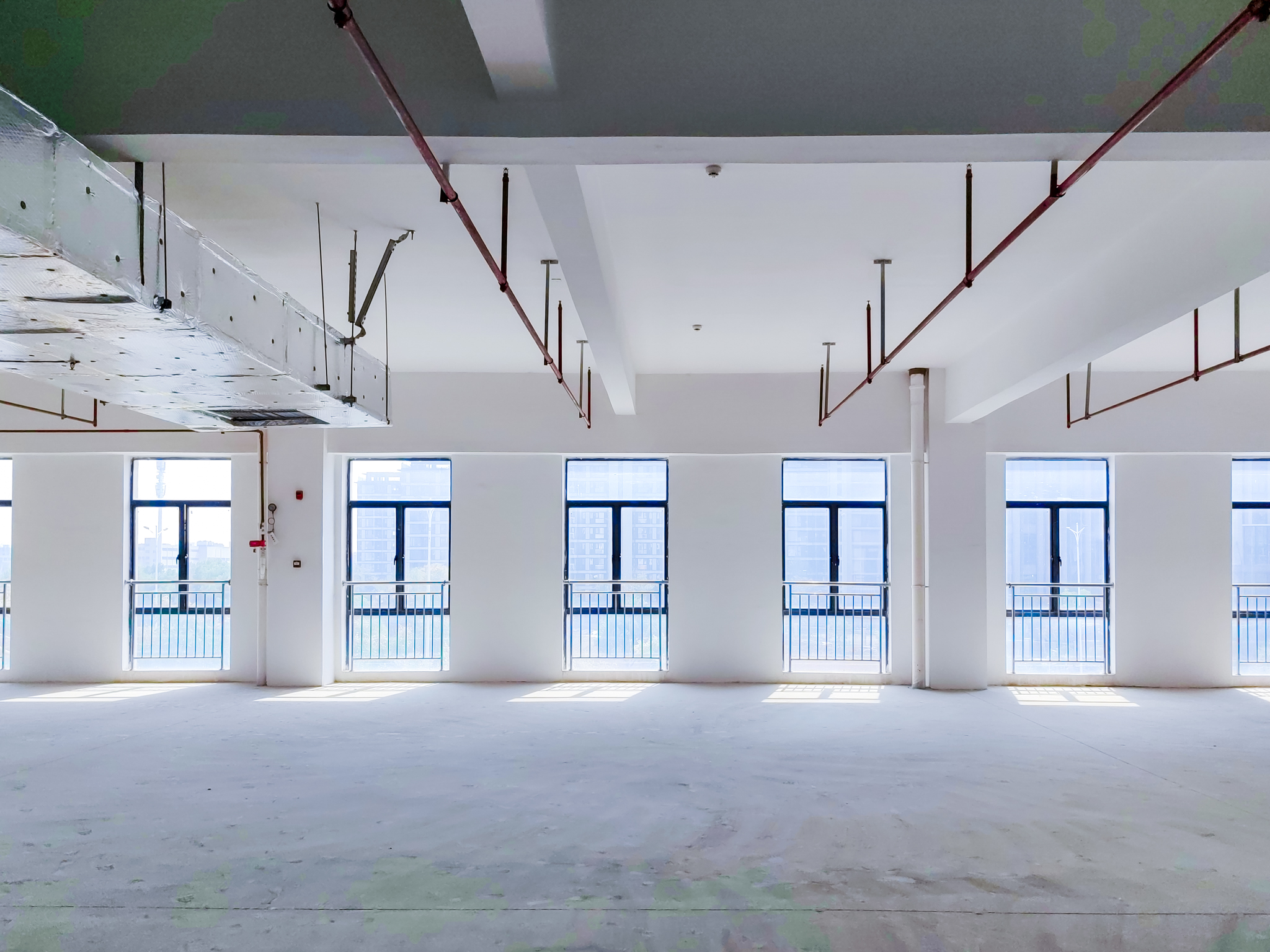 IMG_20251011_123447_1