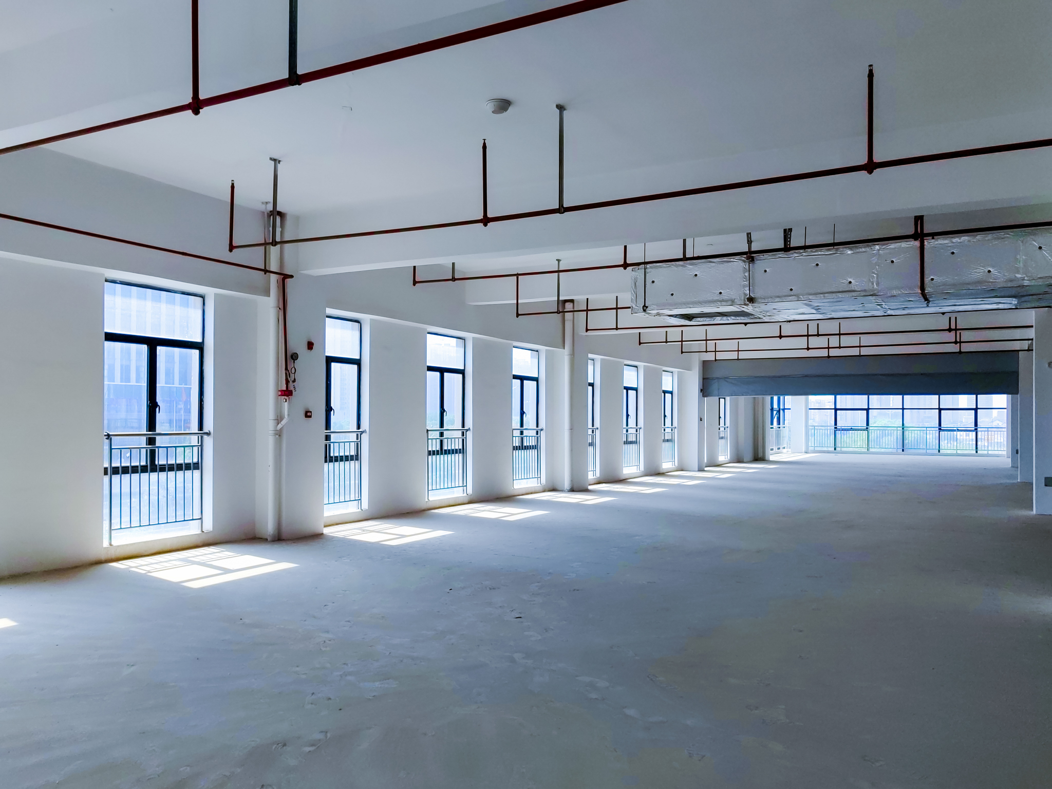 IMG_20251011_123502_1