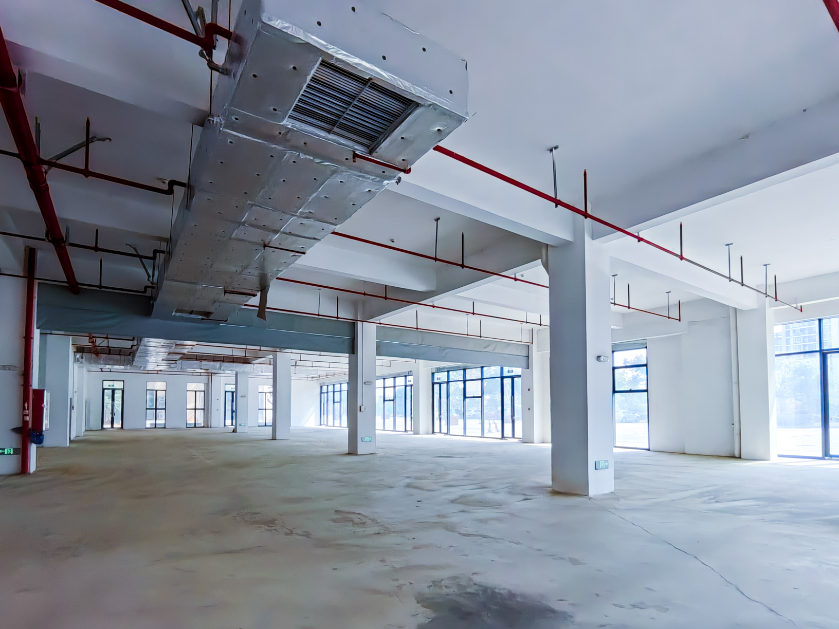 IMG_20251011_124518_1