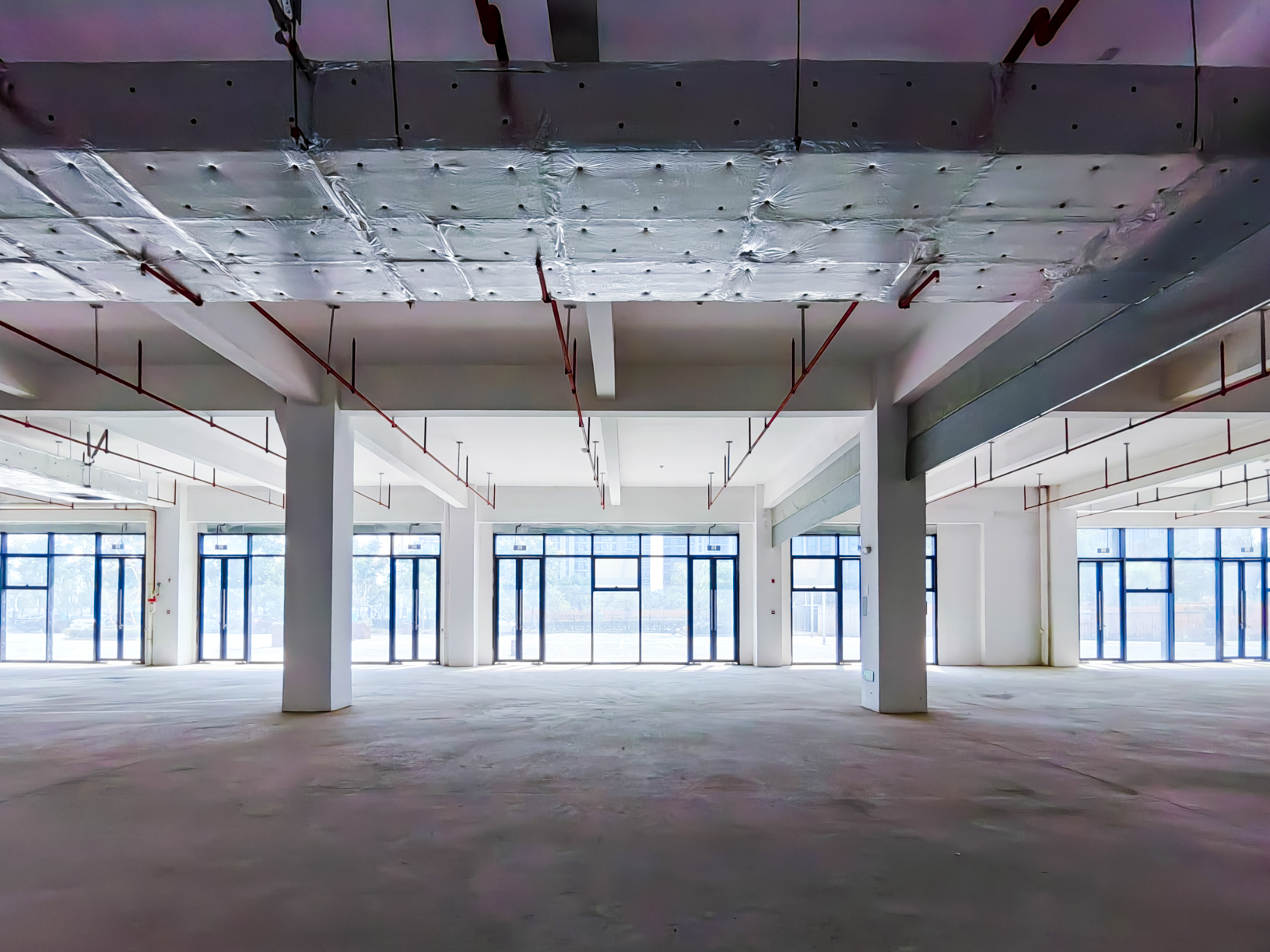 IMG_20251011_124544_1